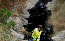 分网_新华网瓦力棋牌北美(图2)